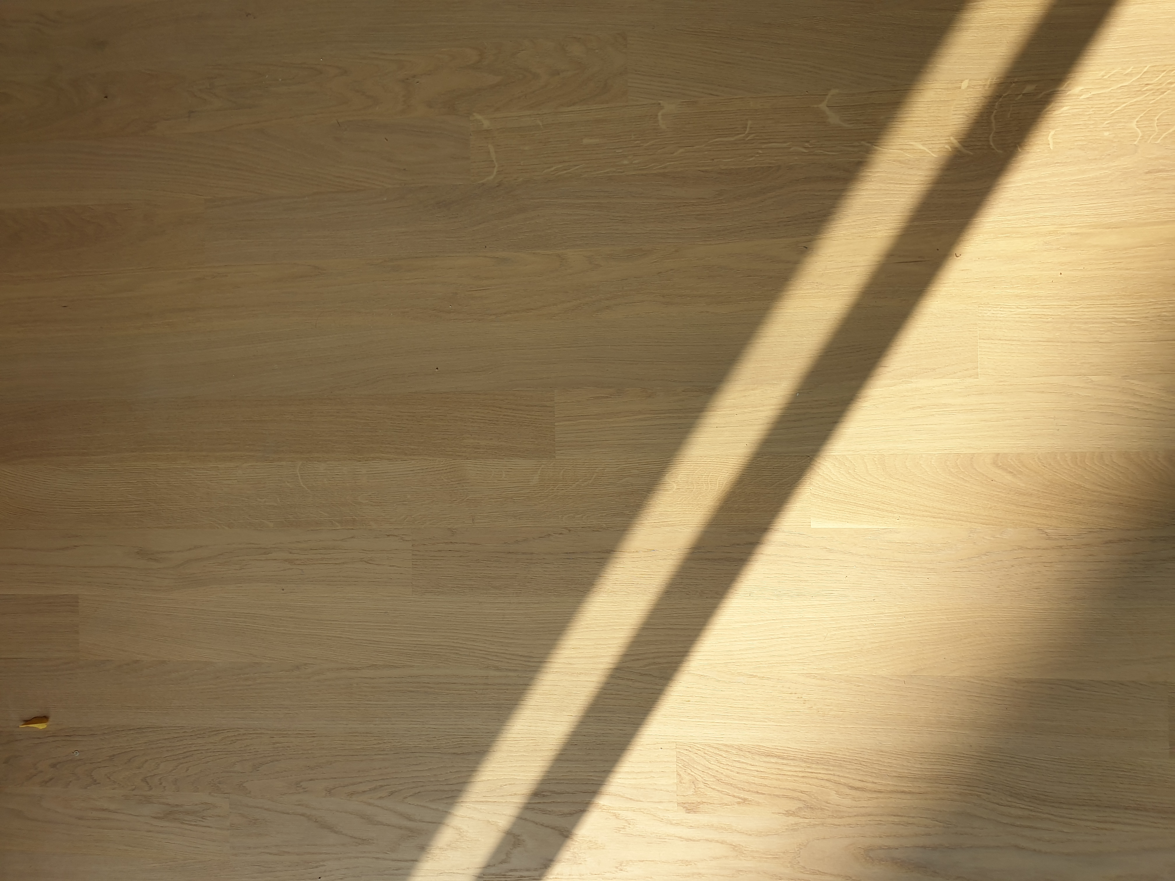 Appartamento Piazza Bologna